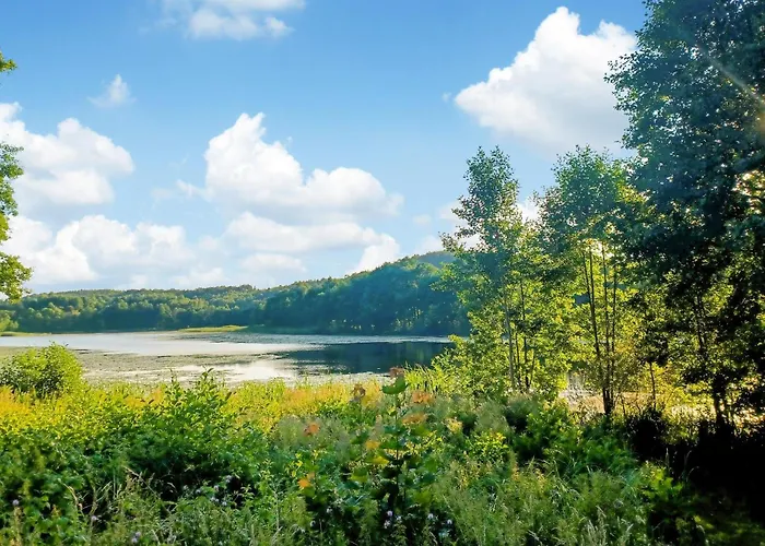 3 Bedroom Cozy In Huta Gorna